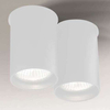 Downlight LAMPA sufitowa ARIDA 7011 Shilo natynkowa tuby białe