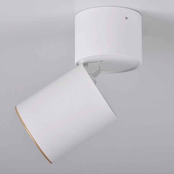 Reflektorek sufitowy Astra 314024 Polux downlight tuba biała