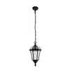 Lampa wisząca latarnia Drayton YG-3503 Endon IP44 przezroczysty czarny