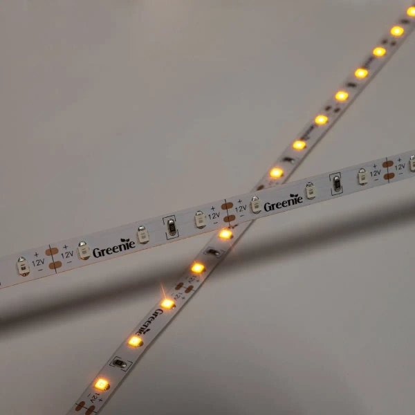 Ledowa taśma na rolce TL204GN Greenie LED 4,8W 5m zielona