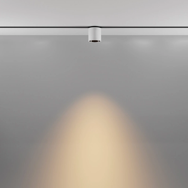 Sufitowa lampa tuba Alfa TR132-2-7W3K-W LED 7W 3000K do szyny biały czarny