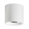 Pokojowa lampa sufitowa Mane biała tuba LED 10W nowoczesna