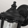 Zewnętrzna LAMPA elewacyjna English FE-EB2-S-BLK Elstead FEISS ogrodowa OPRAWA ścienna szklana latarenka IP44 czarna przezroczysta