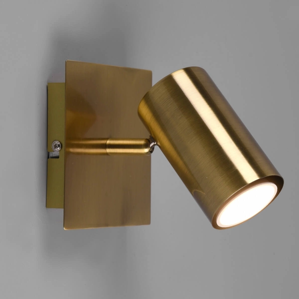 Sufitowa lampa reflektor VANTOS DL104802400 Trio tubka do holu mosiądz