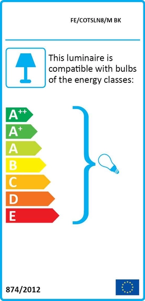 Zewnętrzna LAMPA wisząca Cotswold FE-COTSLN8-M-BK Elstead FEISS szklana OPRAWA industrialna latarenka zwis IP23 czarny przezroczysty