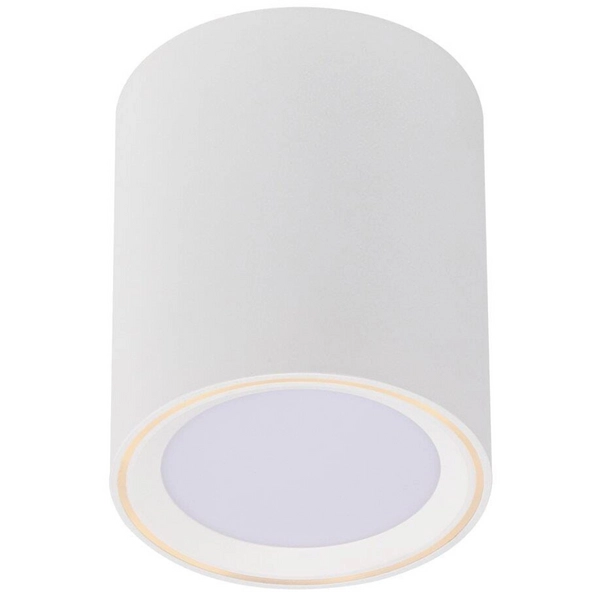 Ściemnialna lampa sufitowa Fallon 47550101 Nordlux LED 5,5W 2700K biała