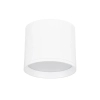 Downlight sufitowy BRENAS biały LE44391 LED 10W 3000K tuba spot
