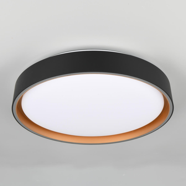 Okrągła lampa sufitowa Felis R64391080 LED 24W 2700-6500K czarny złoty