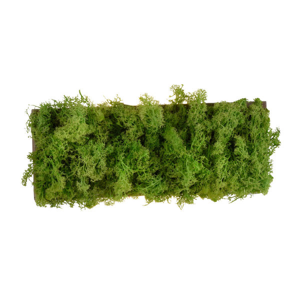 Naścienna lampa dekoracyjna GREEN CARL 15637-66 LED 0,8W 3000K zielony