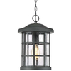 Wisząca LAMPA industrialna Crusade QZ-CRUSADE8-BLK Elstead QUOIZEL okrągła OPRAWA szklany ZWIS na łańcuchu IP44 czarny