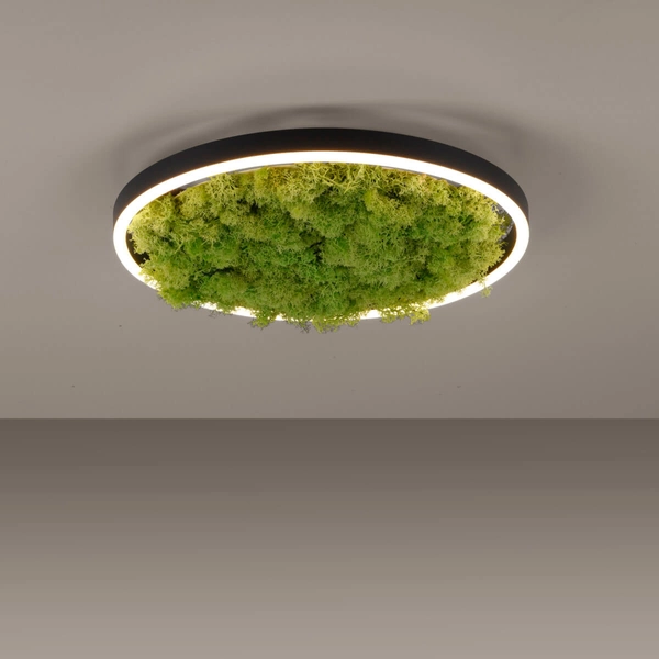 Okrągły plafon GREEN RITU 15391-66 Just Light LED 20W 3000K roślina zielony