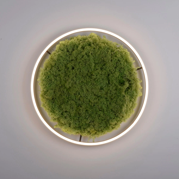 Lampa sufitowa salonowa GREEN RITU 15392-66 LED 28W 3000K zielony