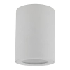 Sufitowa lampa natynkowa Ligno 10932 tuba okrągły IP44 biały