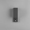 Metalowa lampa na elewację ORVIE DL242214269 IP44 antracyt