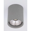 Cementowa sufitowa lampa TRAVONO LE75179 LED 10W 3000K IP65 szary