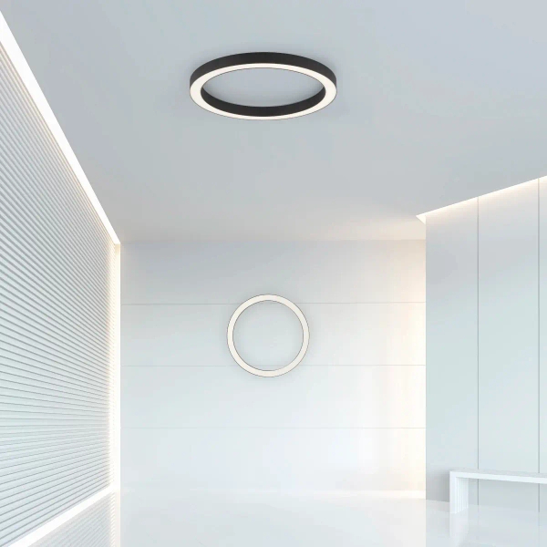 Sufitowa lampa PURE-LINES antracyt 6309-13 1xLED 30W 2700-5000K z pilotem