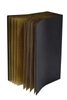 Dekoracyjna LAMPA stojąca EXTRAVAGANZA LIVRET 78596/01/30 Lucide metalowa LAMPKA biurkowa książka czarna złota