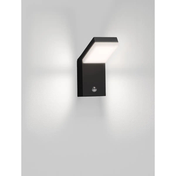 Ścienna lampa zewnętrzna SIRELIA LE75156 LED 12W 3000K IP65 antracyt