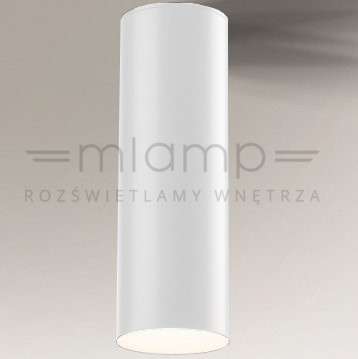 Downlight LAMPA sufitowa SUWA 7073 Shilo natynkowa OPRAWA tuba biała