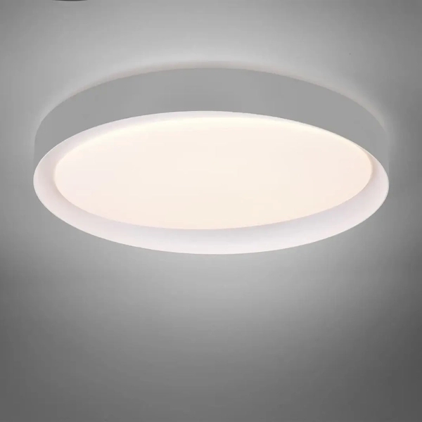 Sufitowa lampa Zeta R62712411 RL Light LED 24W 2700-6500K szara biała