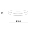 Ledowa sufitowa lampa Santana AZ4996 80W 3000-6500K okrąg złota