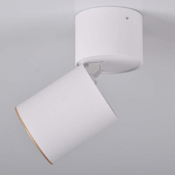 Reflektorek sufitowy Astra 314024 Polux downlight tuba biała