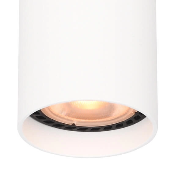 Lampa sufitowa do holu Lopus CLN-48930-S-WH Italux punktowa biała