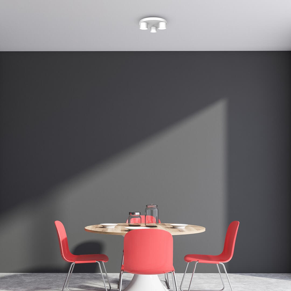 Biała lampa sufitowa Dixie minimalistyczna do gabinetu