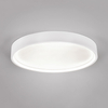 Okrągły plafon sufitowy DOHA 641310231 Trio LED 29W 2300-4000K biały