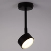 Regulowana lampa sufitowa Nemo 40882 reflektorek metalowa czarna