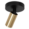Lampa nasufitowa do kuchni RITMO 09942/01/02 metalowa czarna złota