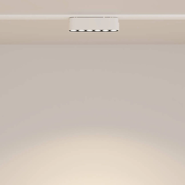 Przysufitowa lampa do szyny owalna Points TR082-1-6W3K-M-W 6W 4000K biały