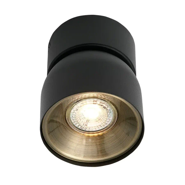 Regulowana lampa sufitowa PITCHER 2310400103 metalowa czarny