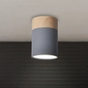 Sufitowa lampa downlight 2284262 metalowa okrągły plafon tuba szara