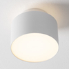 Sufitowa lampa okrągła ALVEAR LE44381 LED 17W 3000K do salonu biały