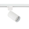 Lampa regulowana szynowa 1-fazowa Tracer Amis 10647 tuba biały