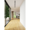 Szynowa lampa sufitowa Clyde 2213550103 LED 4W 2700K czarny