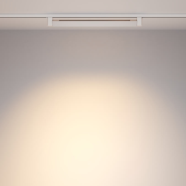 1-obwodowa lampa sufitowa Points TR010-1-20W3K-M-W LED 20W 3000K biały