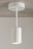 Loftowa lampa sufitowa Luis biały downlight do przedpokoju