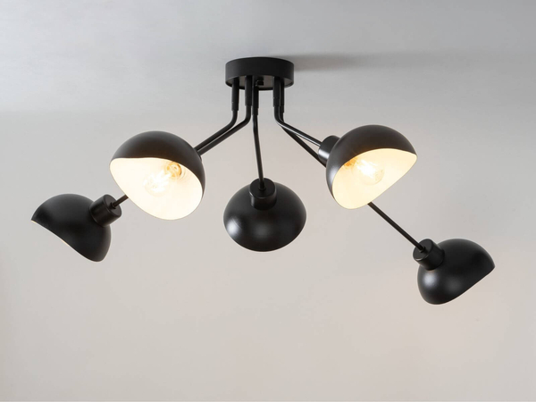 Sufitowa lampa nowoczesna Roy pająk do salonu czarny
