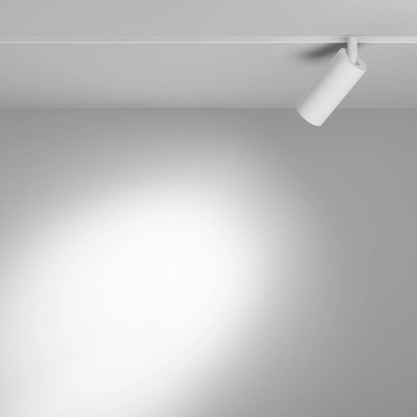 Lampa do szynoprzewodów Focus TR032-4-5WTW-S-DD-W LED 5W 2700-6000K magnetycznych biała