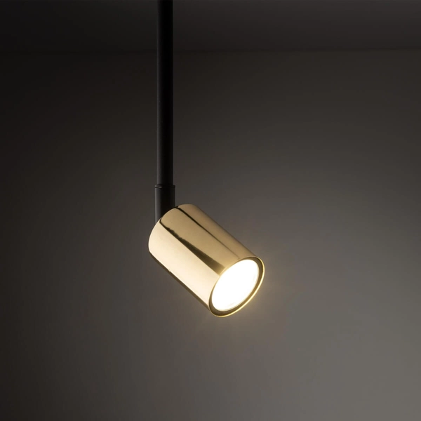 Pojedynczy reflektor szynowy 1-fazowy Tracer 4920 TK Lighting złoty