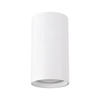 Sufitowa LAMPA downlight DARIA DWL 03944 Ideus okrągła OPRAWA metalowy plafon tuba biała