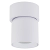 Spot sufitowa lampa punktowa Twist 10576 regulowana metalowa biały