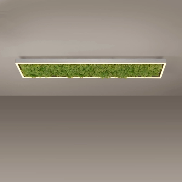 Dekoracyjny plafon GREEN KNUT 15623-66 LED 25W 3000K do jadalni zielony