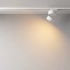 Szynowa lampa jednofazowa Onda TR007-1-12W2.7K-W-1 LED 12W 2700K biała