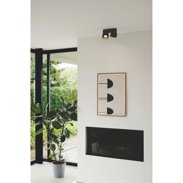 Podwójna lampa sufitowa Pitcher 2310410103 regulowane tuby czarny