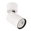 Plafon LAMPA sufitowa LACONI SPL-2846-1SC-WH Italux reflektorowa OPRAWA kinkiet metalowa tuba biała
