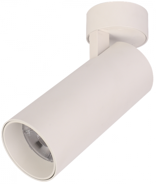 Punktowy reflektor Blaupunkt DRNW-12NW LED 12W 4000K biały