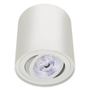 Metalowa lampa sufitowa Tochi 1071 Brosline tuba spot ruchoma biała